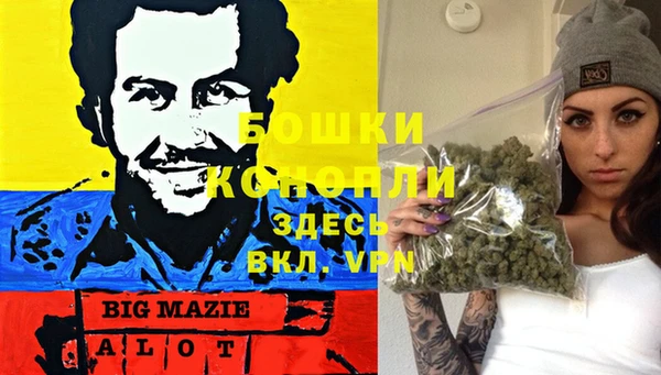 шишки Баксан