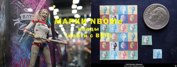 шишки Баксан